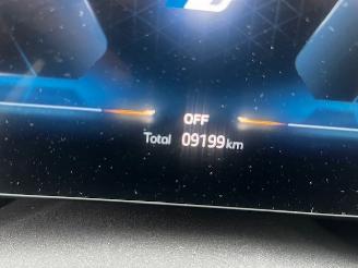 BMW X1 X1 XDRIVE25E picture 7