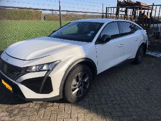 škoda osobní automobily Peugeot 408 408 1.2 PureTech Allure 130 EAT8 2023/9