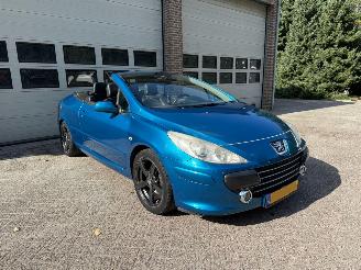  Peugeot 307 CC 2.0 Clima Leder 2006/5