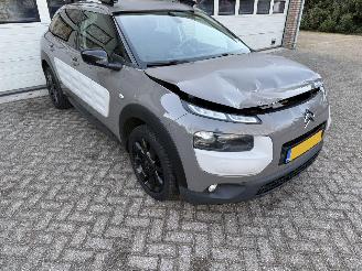 Citroën C4 cactus 1.2 e-VTi Business Automaat Navi Clima Cruise NAP ! picture 15