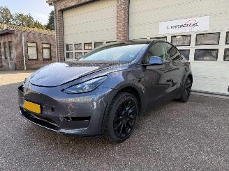 Coche accidentado Tesla Model Y RWD 58 kWh Pano Leder 68725 Km NAP ! 2023/11