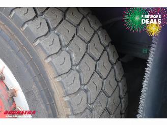   SK498 AT4 8X6 Euro 4 picture 54