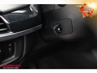 BMW X5 M50d M Sport Edition Pano ACC Memory Leder AHK SHZ picture 16