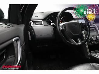 Landrover Discovery Sport 2.0 TD4 HSE VAN Commercial Navi Camera SHZ Leder picture 12