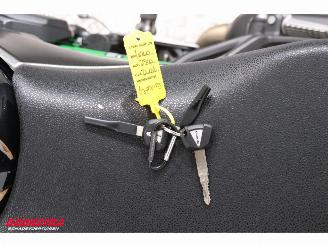 Kawasaki  Z900 ABS LED Remus picture 31