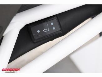 Triumph Tiger 900 Rally Pro ABS SHZ Heizgriffe Cruise picture 22