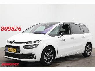 begagnad bil bedrijf Citroën Grand C4 SpaceTourer 1.2 PureTech Bns 7-Pers. Navi Clima Cruise Camera PDC AHK 46.725 km! 2020/9