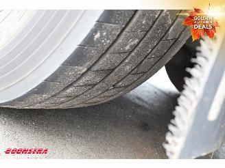 Schmitz Cargobull  SKO SKO Thermo King SLXi 300 Dhollandia 2X Lift BY 2020 picture 35