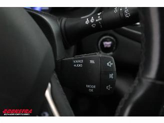 Renault  1.2 TCe Bose Pano Navi Clima Cruise picture 21