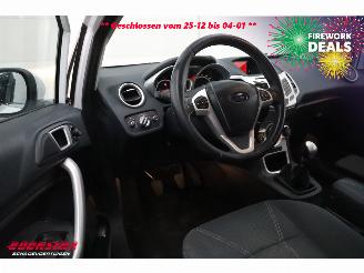 Ford Fiesta 1.6 TDCi ECOnetic Titanium Clima Cruise PDC picture 11