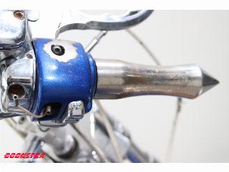 Harley-Davidson  FXSTC Softail Custom picture 26