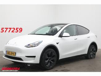 Damaged car Tesla Model Y Long Range RWD 75 kWh Pano LED ACC Leder SHZ 2024/12