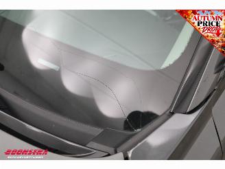 Kia e-Niro DynamicLine 64.8 kWh Camera LED Clima Apple/Android Navi picture 13