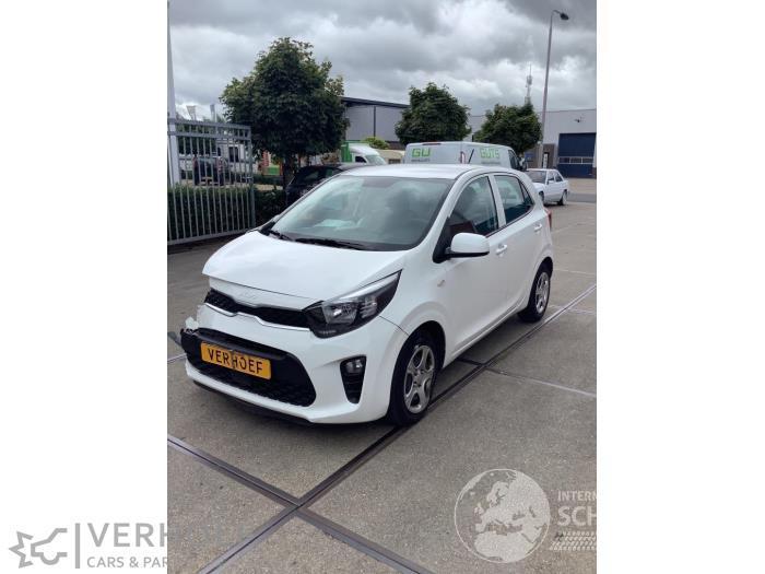 Kia Picanto Picanto (JA), Hatchback, 2017 1.0 DPi 12V