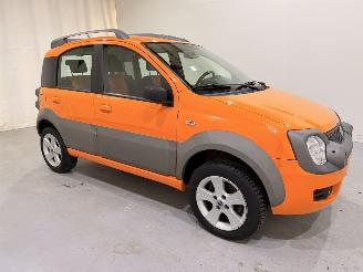 Unfallwagen Fiat Panda Cross 1.3D 4x4 68.000KM 2006/11