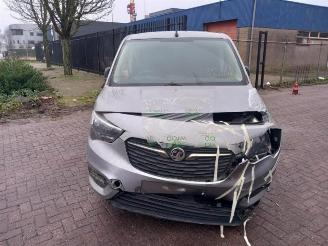 Opel Combo Combo Cargo, Van, 2018 1.5 CDTI 100 picture 2