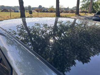 Skoda Fabia 1.0 TSI   Automaat  Monte Carlo  ( Panoramadak ) picture 10