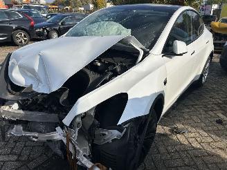 krockskadad bil auto Tesla Model Y Standard Range RWD 2023/12