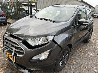 Unfallwagen Ford EcoSport 1.0 2019/9