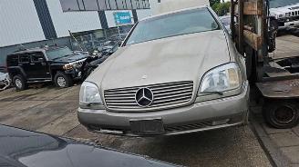 Mercedes S-klasse S (C140), Coupe, 1992 / 1999 6.0 600 Coupe 48V picture 2
