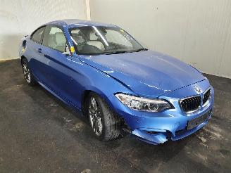disassembly passenger cars BMW 2-serie  2017/1