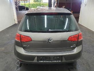 Volkswagen Golf 5G 1.2 TSI BlueMotion picture 13