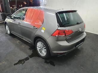 Volkswagen Golf 5G 1.2 TSI BlueMotion picture 24