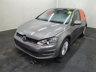 Volkswagen Golf 5G 1.2 TSI BlueMotion picture 3