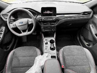 Ford Kuga ST-Line X picture 2