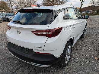 Opel Grandland Hybrid 1.6 picture 5