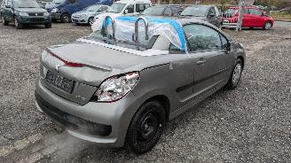 Peugeot 207 KTN picture 5