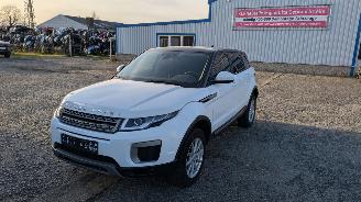skadebil auto Land Rover Range Rover Evoque JLR M66 2WD 2016/6