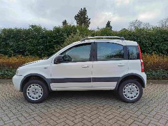 Fiat Panda 1.2 Climbing 4x4 picture 8