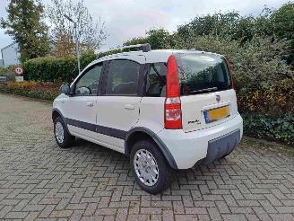 Fiat Panda 1.2 Climbing 4x4 picture 4