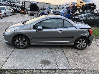 Damaged car Peugeot 207 CC 16VTI 139 dkm 2009/1