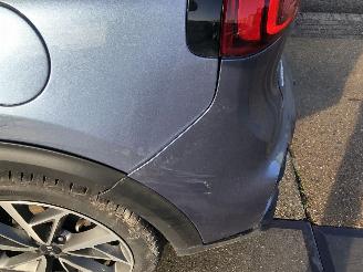 Kia Niro 1.6GDI Hybrid DynamicPlusLine Aut. picture 13