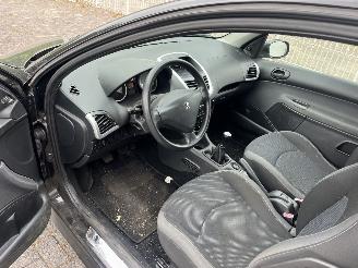 Peugeot 206+  picture 9
