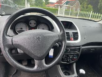 Peugeot 206+  picture 12