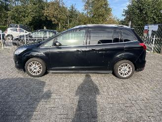 Ford Grand C-Max 5 persoons picture 2