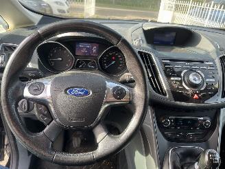 Ford Grand C-Max 5 persoons picture 24