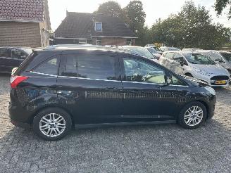 Ford Grand C-Max 5 persoons picture 6