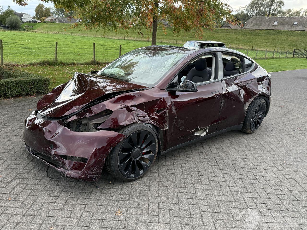 Tesla Model Y Dual Performance 393 kW 4 WD