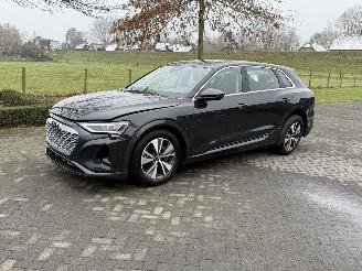 Unfallwagen Audi Q8 E-Tron 50 Quattro 2024/7
