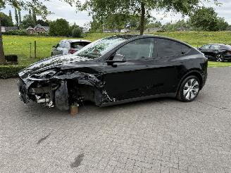 Damaged car Tesla Model Y DUAL MOTOR LONG RANGE AUTO 4WD 2024/3