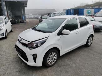 Salvage car Kia Picanto Picanto (JA), Hatchback, 2017 1.0 12V 2020/2