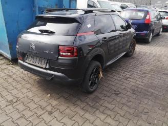 Citroën C4 cactus  picture 11