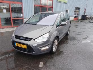 Ford S-Max S-Max (GBW), MPV, 2006 / 2014 2.0 TDCi 16V 140 picture 1