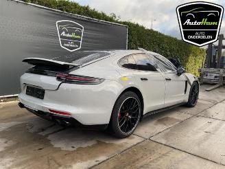 Porsche Panamera Panamera (971G), Liftback, 2016 / 2023 3.0 V6 24V picture 10