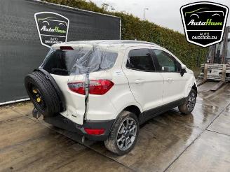 Ford EcoSport EcoSport (JK8), SUV, 2013 1.0 EcoBoost 12V 125 picture 8