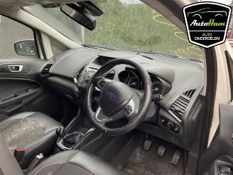 Ford EcoSport EcoSport (JK8), SUV, 2013 1.0 EcoBoost 12V 125 picture 9